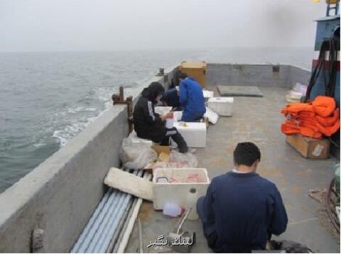 بررسی اثرات سیل اخیر بر خلیج فارس در گشت تحقیقاتی پژوهشگاه اقیانوس شناسی