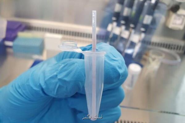 كیت آزمایشی كه گوشت های ممنوعه را در غذا شناسایی می كند