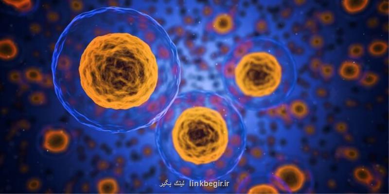 درمان پارکینسون با بازیابی مراکز انرژی سلول!