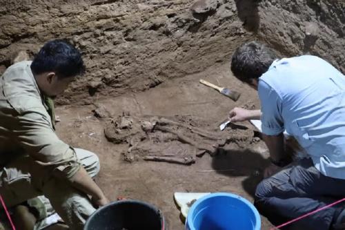 کشف قدیمی ترین عمل جراحی در عصر حجر