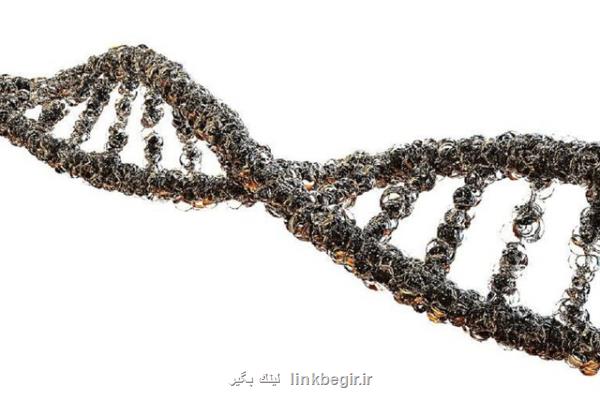 ترمیم بافت با سلول های به دست آمده از ادرار انسان!