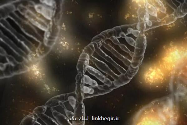 سرنخ هایی در مورد عامل ژنتیکی بیماری پارکینسون