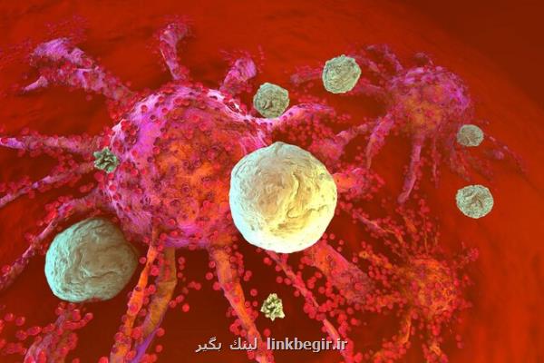 کشف راهی برای خستگی در کردن سلول های ایمنی!