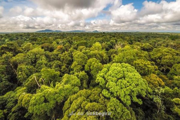 تصویربرداری از ریه زمین توسط ماهواره جدید انگلیس