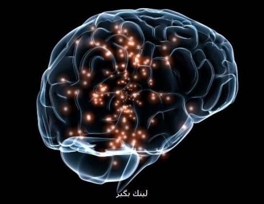 توسعه اپلیکیشن برای شناسایی سرطان با صوت