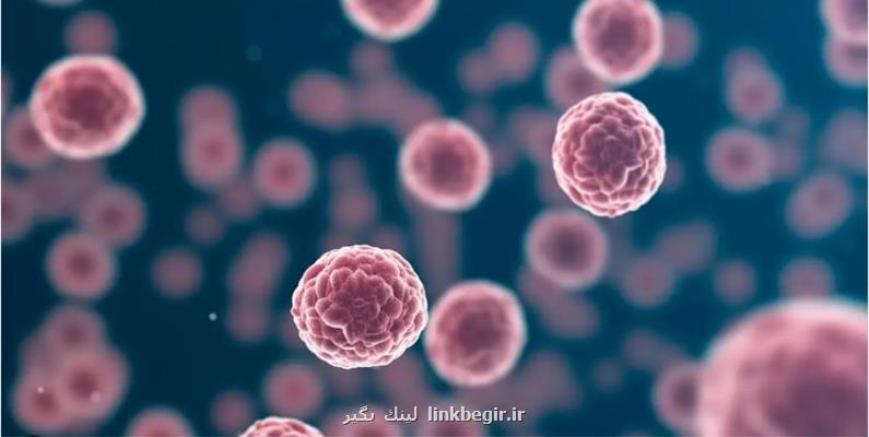 ساخت نانو رباتی که نوید درمان سرطان مثانه را می دهد