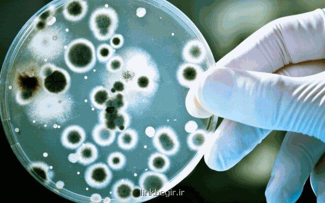 دستیابی به ماده استراتژیك و پایه تولید ۵۲ نوع آنتی بیوتیك با كمك سلول زنده
