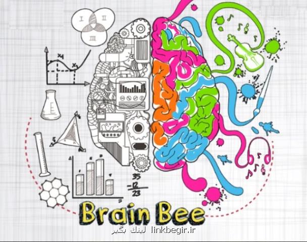تصاحب عنوان سومی مسابقات جهانی دانش مغز توسط نماینده ایران