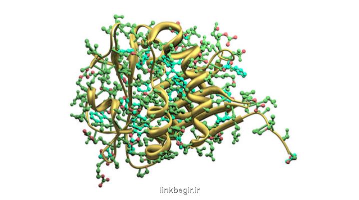 طراحی یك آنزیم مصنوعی جدید با كمك مدل سازی كامپیوتری