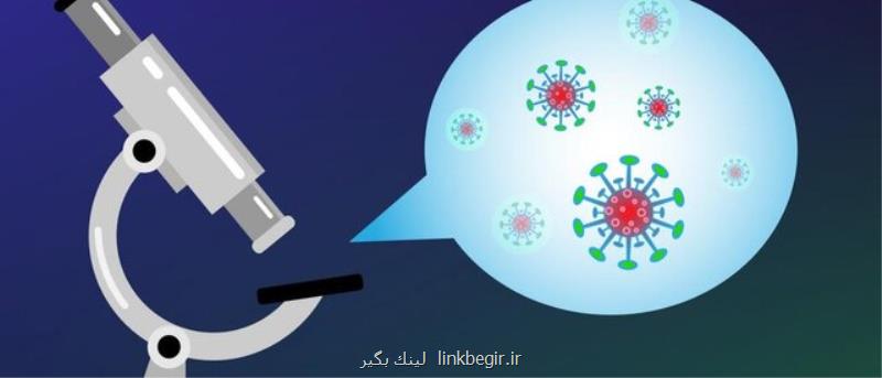 كشف یك جهش منحصر به فرد در كروناویروس