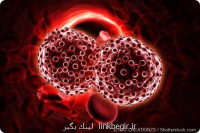 تركیب ۲ روش ایمنی درمانی برای درمان سرطان خون