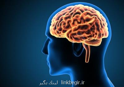 كشف عامل مهم گسترش سرطان به مغز